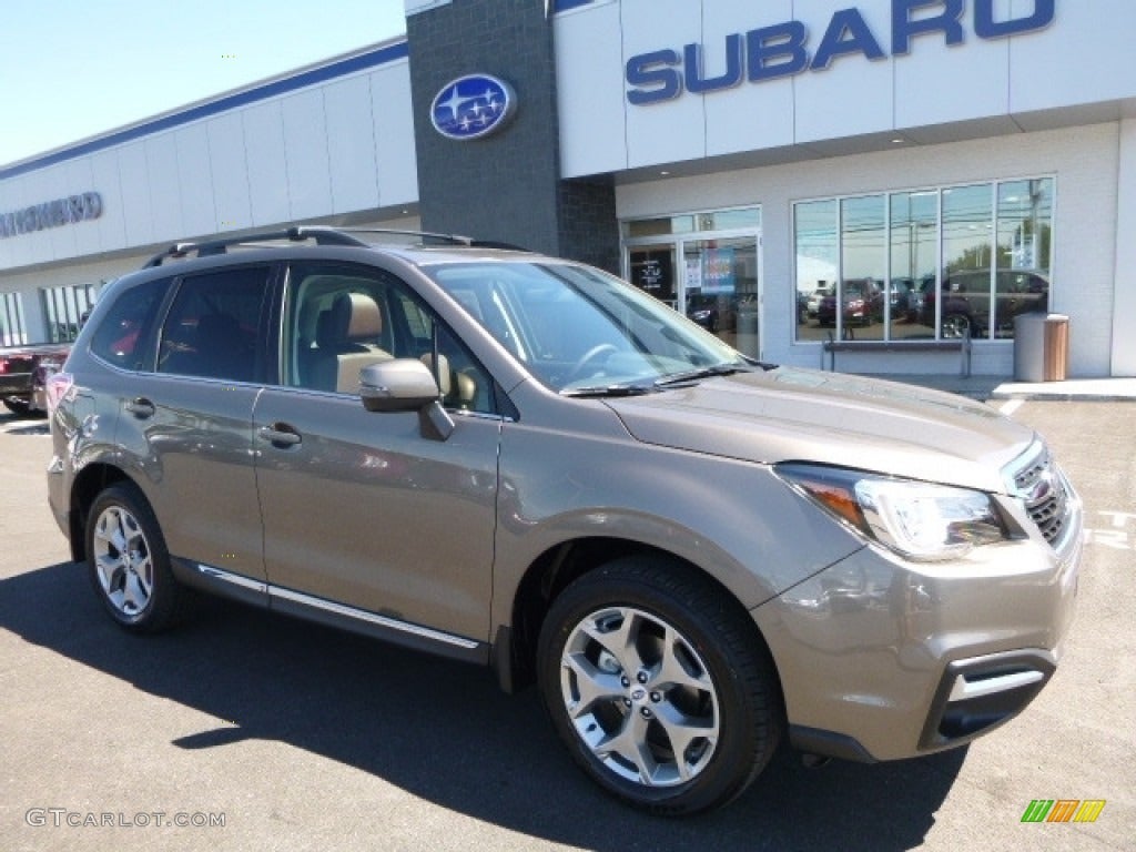 Just bought a 2018 Forester and cannot find the garage