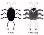 Insect Invertebrate Weevil Beetle Organism